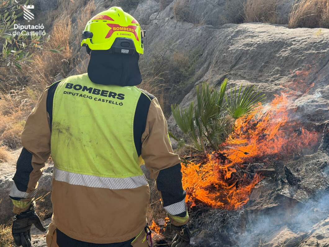 Bomberos controlan un incendio de cañar en la Vall d’Uixó