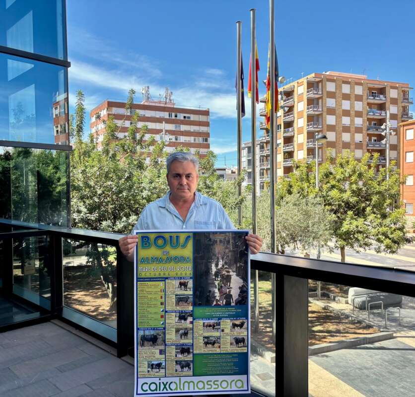 Almassora prepara sis jornades taurines amb 12 bous de ramaderies de renom