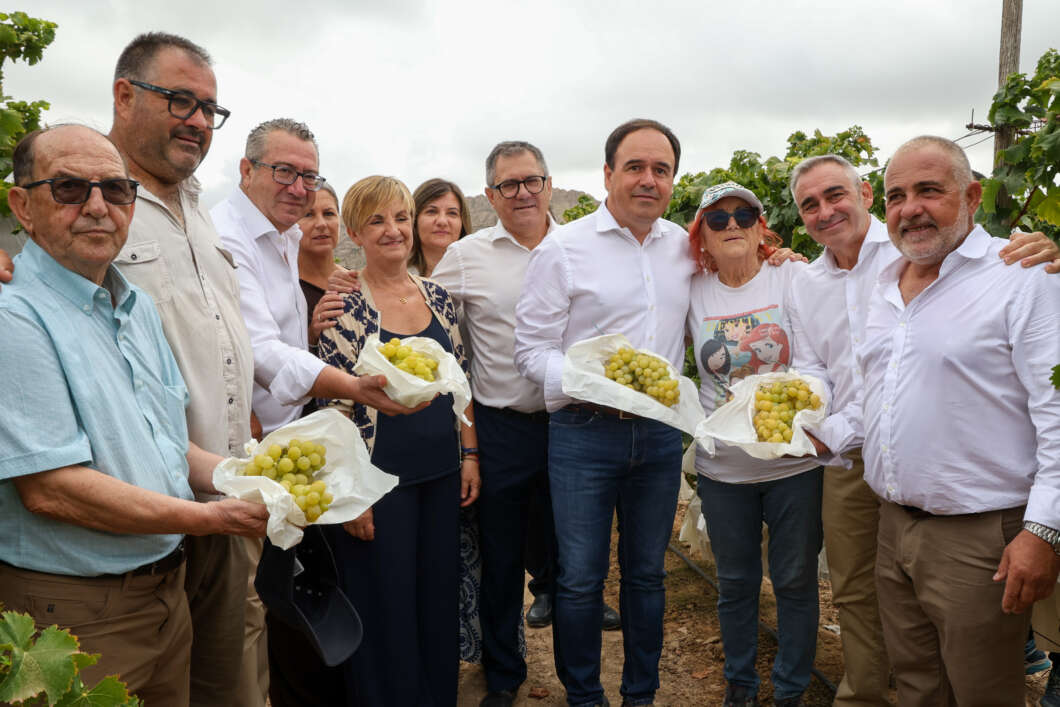 La Generalitat destina 8 millones para incorporar 200 jóvenes agricultores
