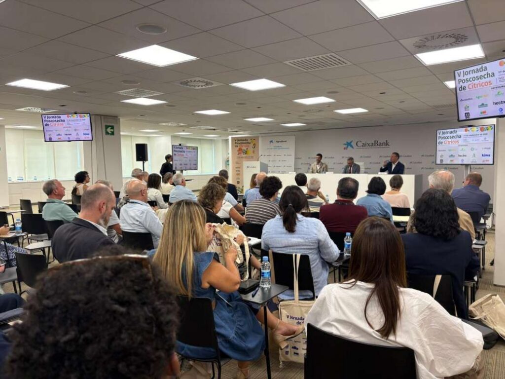 Castellón afronta la nueva campaña citrícola con un descenso del 1,6 %