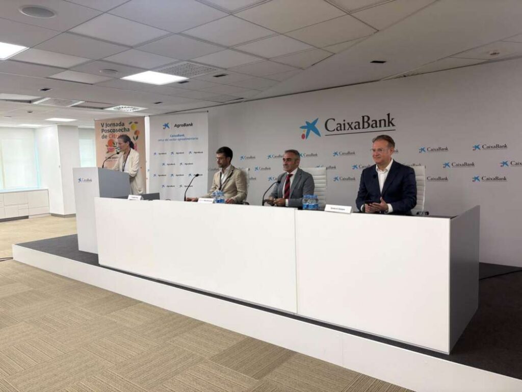 Castellón afronta la nueva campaña citrícola con un descenso del 1,6 %