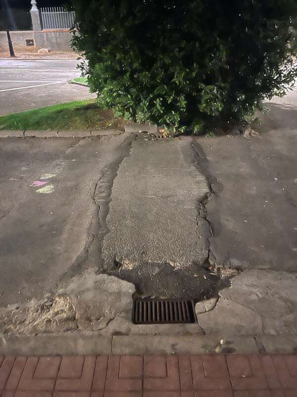 El PSPV denuncia brutícia i desperfectes a Castelló
