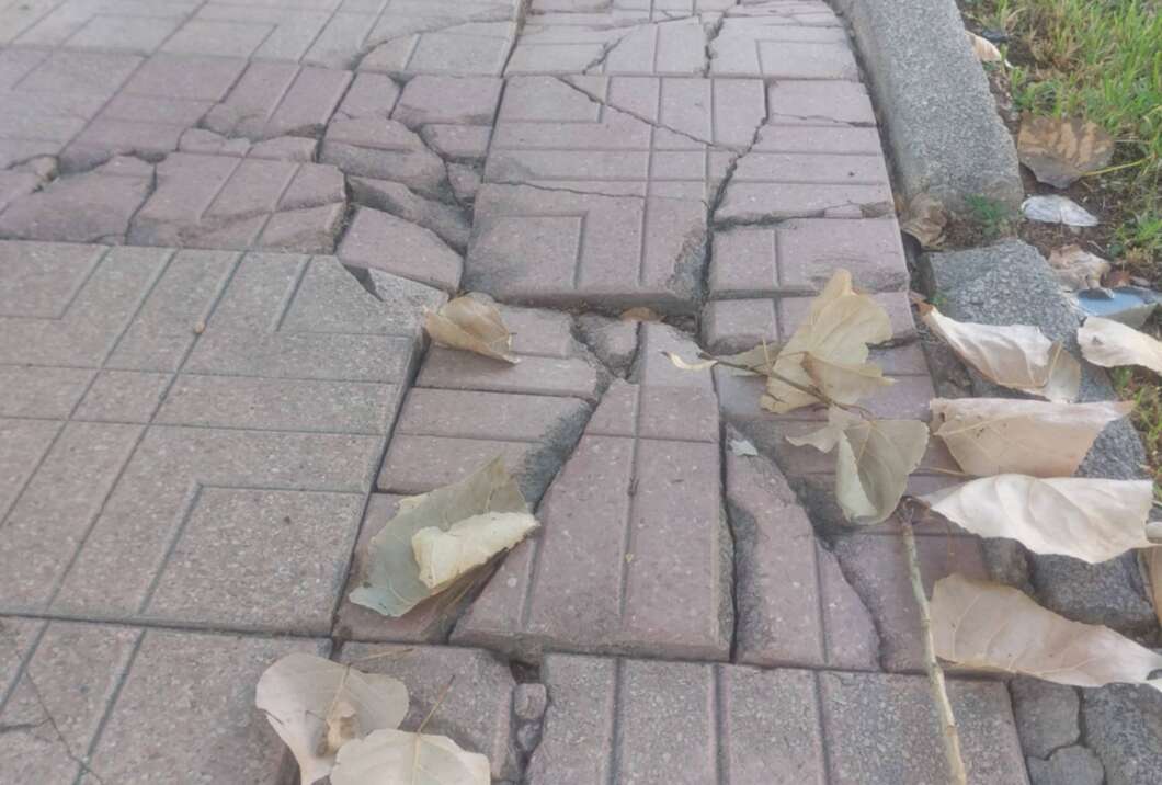 El PSPV denuncia brutícia i desperfectes a Castelló