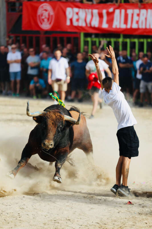 Burriana dona inici als festejos taurins de la Misericòrdia