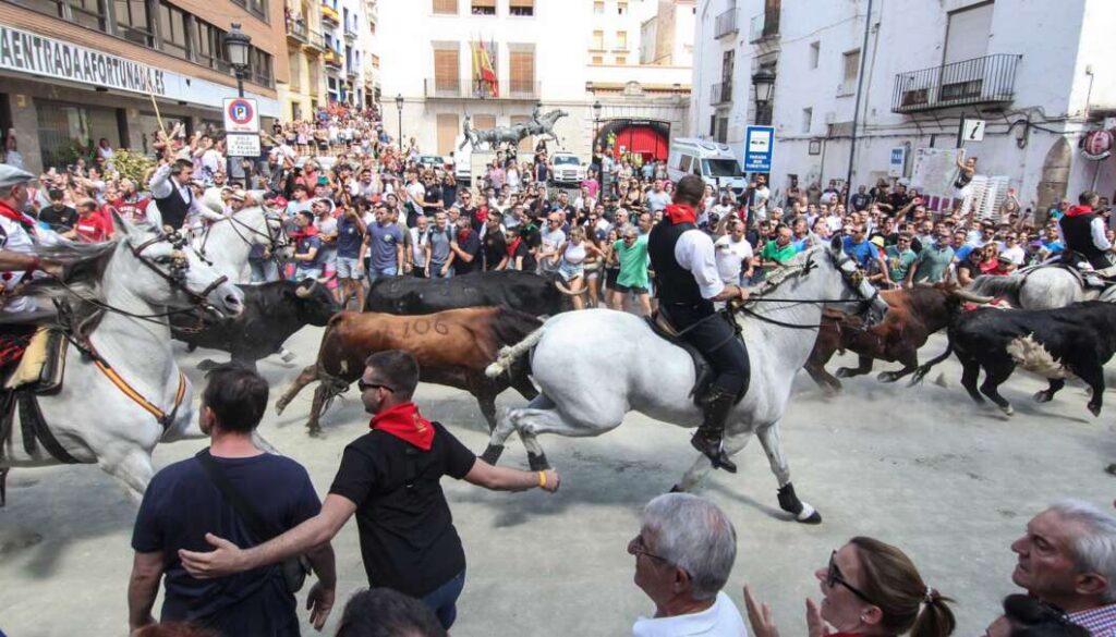 À Punt aposta de nou pels Bous i Cavalls de Segorbe