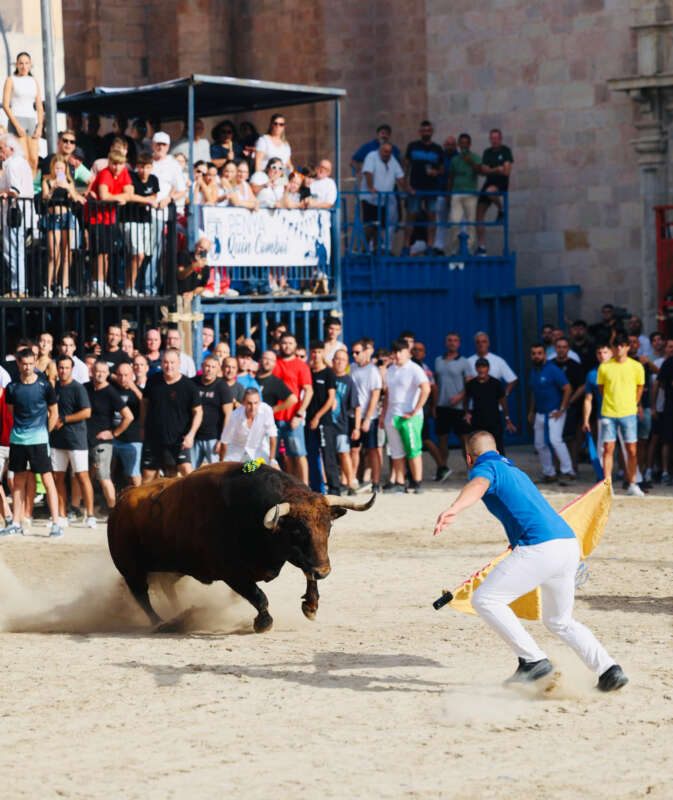 Burriana dona inici als festejos taurins de la Misericòrdia
