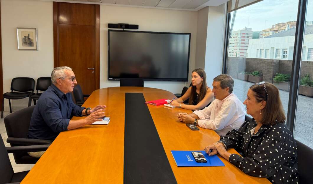 Sanidad pone en marcha el Comité de Cuidados y el Cecova reclama su liderazgo