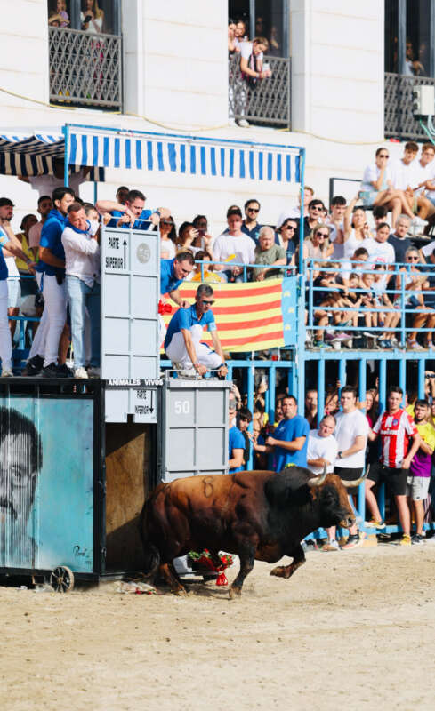 Burriana dona inici als festejos taurins de la Misericòrdia