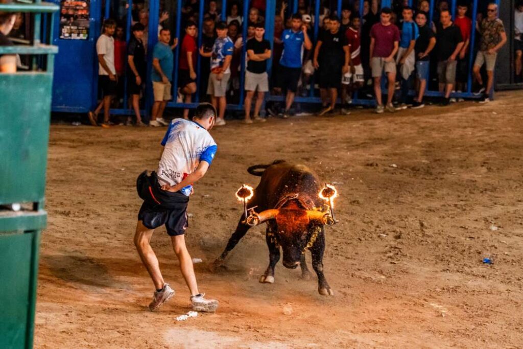 L’Alcora tanca unes Festes del Crist multitudinàries