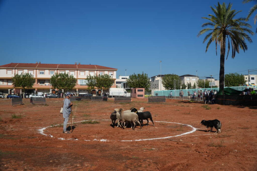 Nules tanca la seua Fira de Ramaderia i Maquinària Agrícola amb milers de visitants