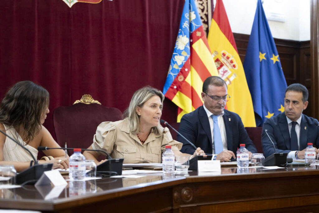 Pleno diputación Castellón