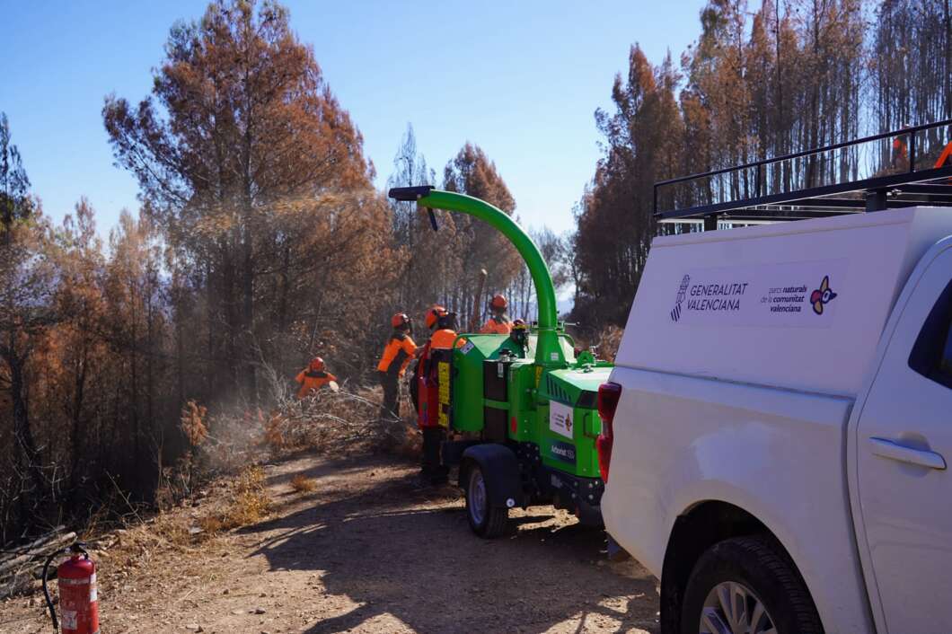 Post incendio Calderona