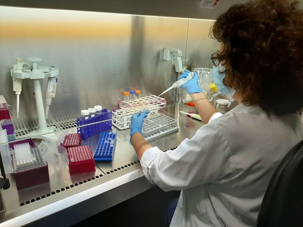 La ciencia valenciana planta cara al cáncer