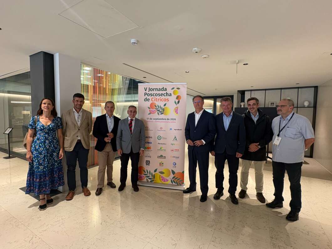 Castellón afronta la nueva campaña citrícola con un descenso del 1,6 %