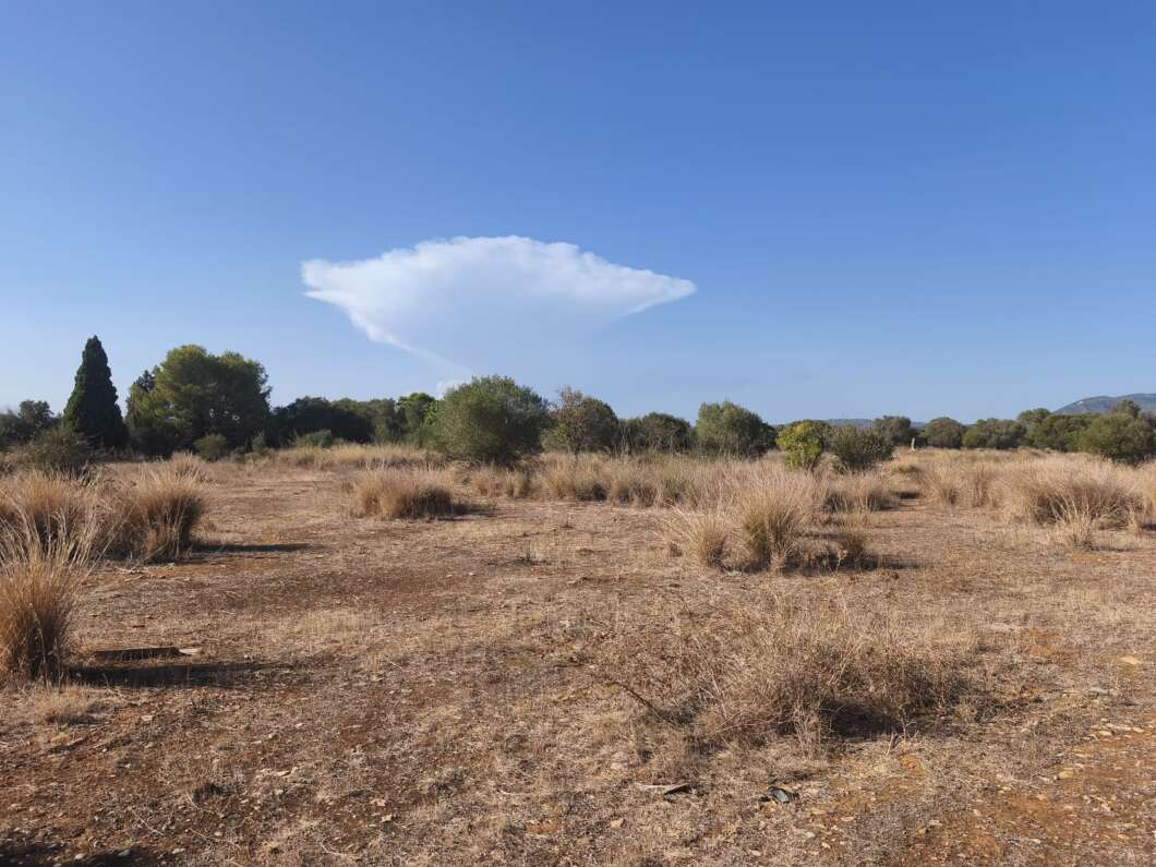 Dos cazadores salen ilesos tras recibir varios disparos en un coto de Torreblanca