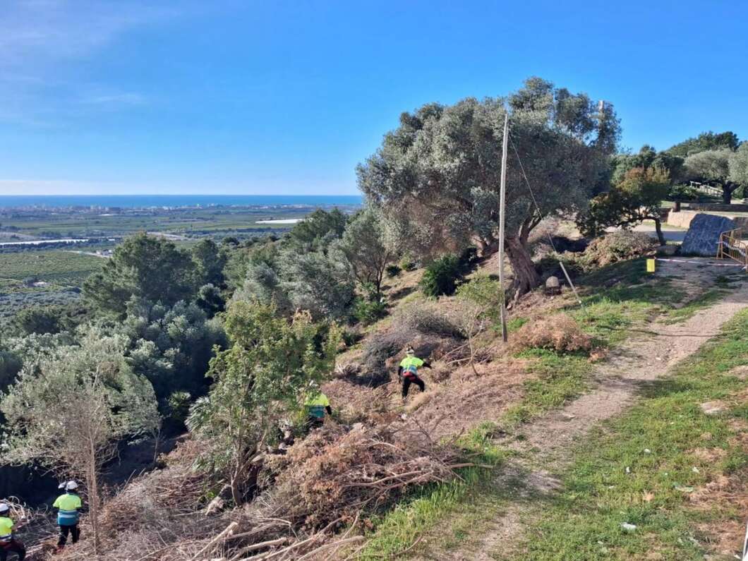 Vinaròs recibe una subvención para reforzar la prevención de incendios forestales 
