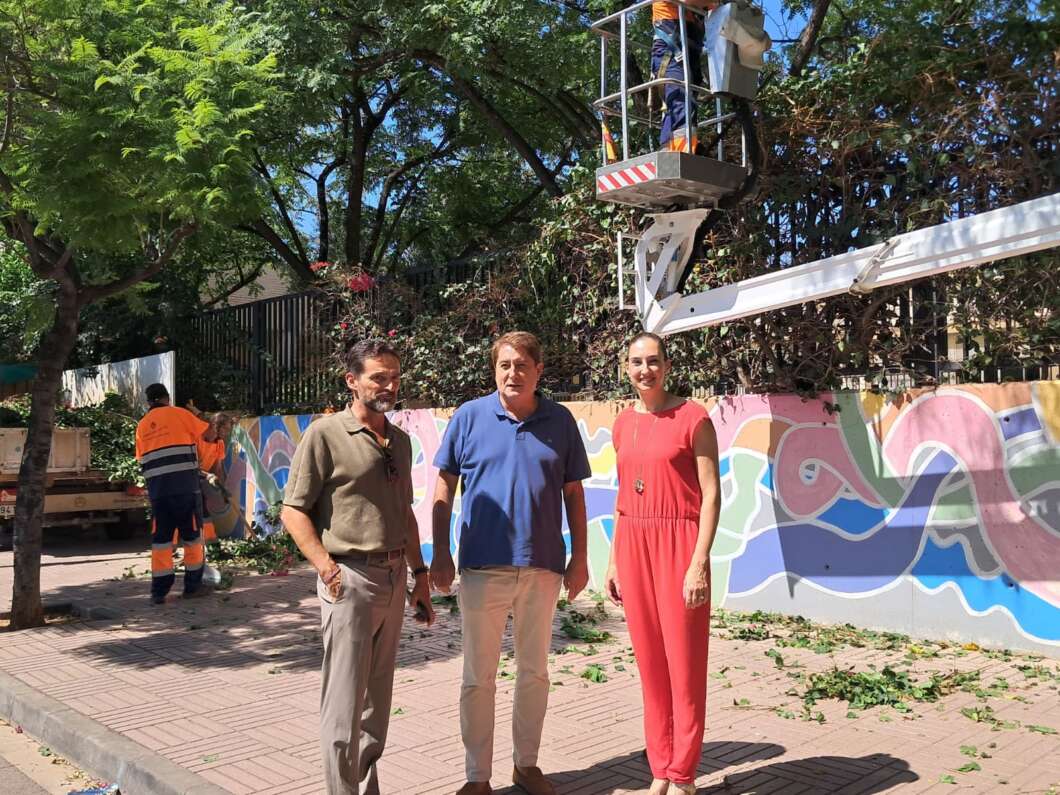 Castellón refuerza el mantenimiento de las zonas verdes de los colegios