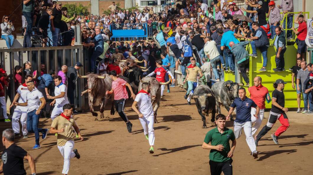 Onda, Fira d'Onda, encierro, toros,