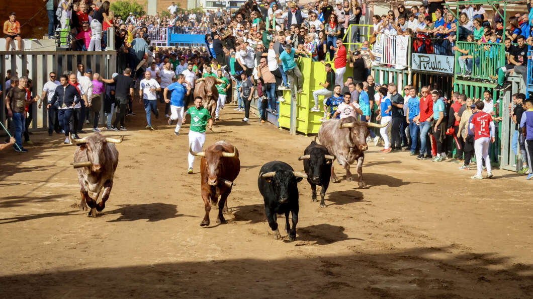 Onda, fira d'onda, encierro toros, fiestas,
