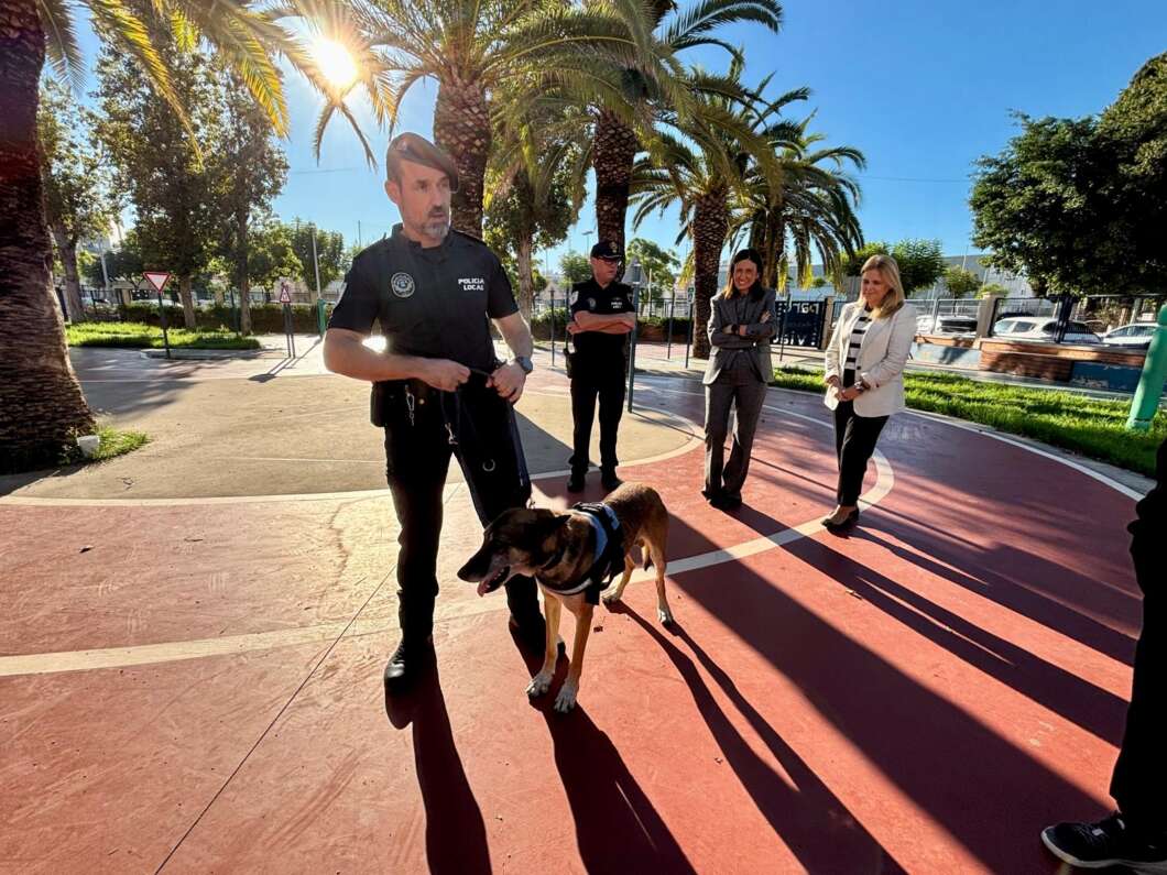 Almassora consciencia els joves sobre les drogues amb exhibicions canines