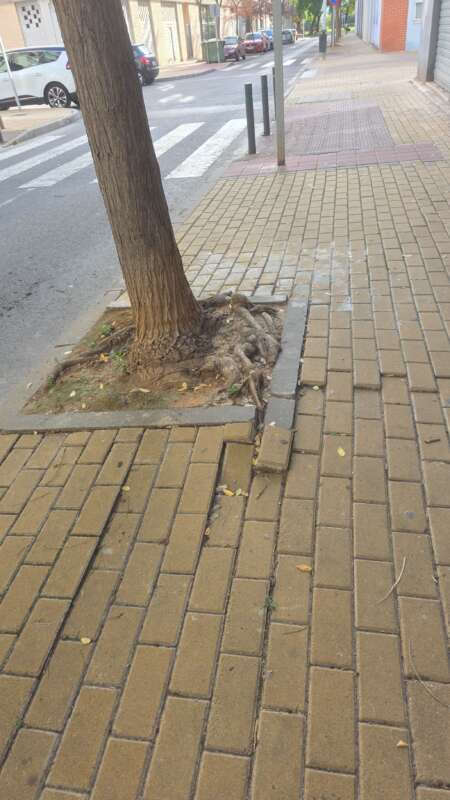 El PSPV denuncia problemes de neteja i manteniment en diversos barris de Castelló