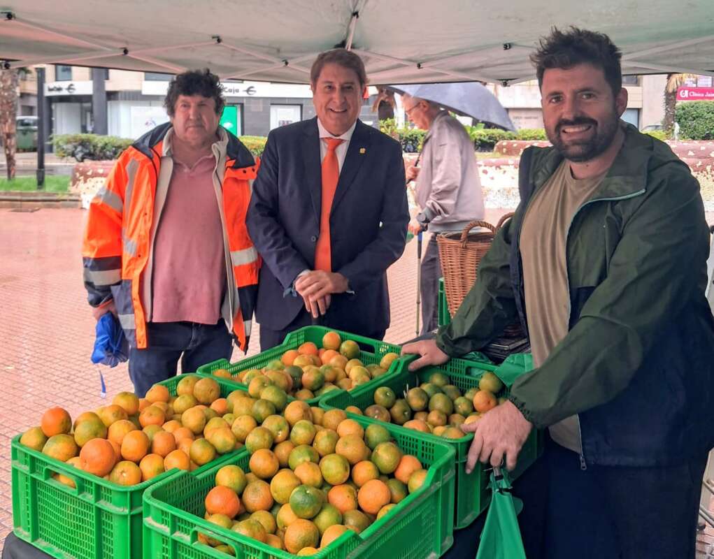 Castelló mercado de la naranja