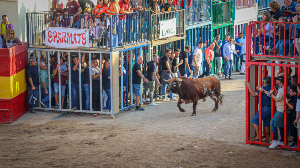 Fira Onda sábado