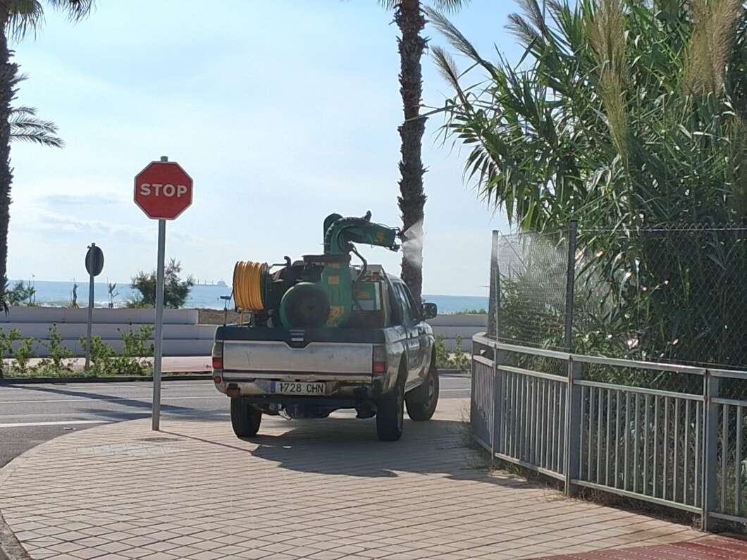 campaña contra los mosquitos en Castellón