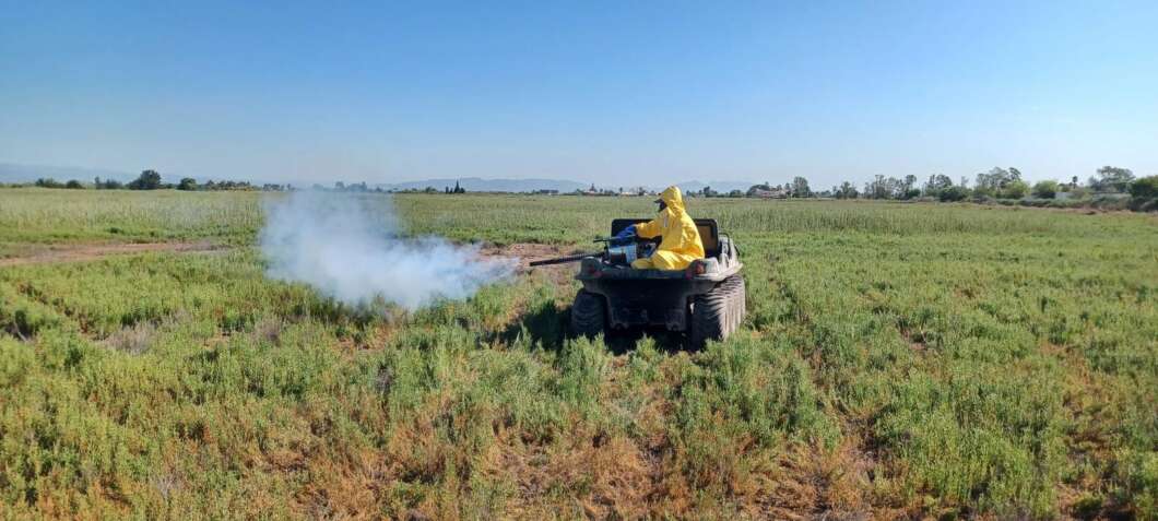 Nules refuerza la prevención contra los mosquitos tras las lluvias