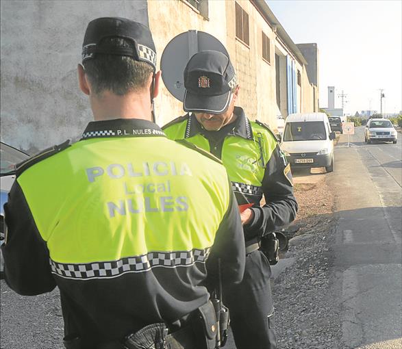 Nules localiza 19 perros con irregularidades en una caseta cerca de la playa