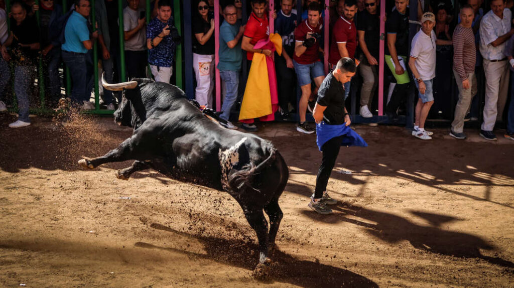 Onda supera el ecuador de la Fira con toros, música y humor