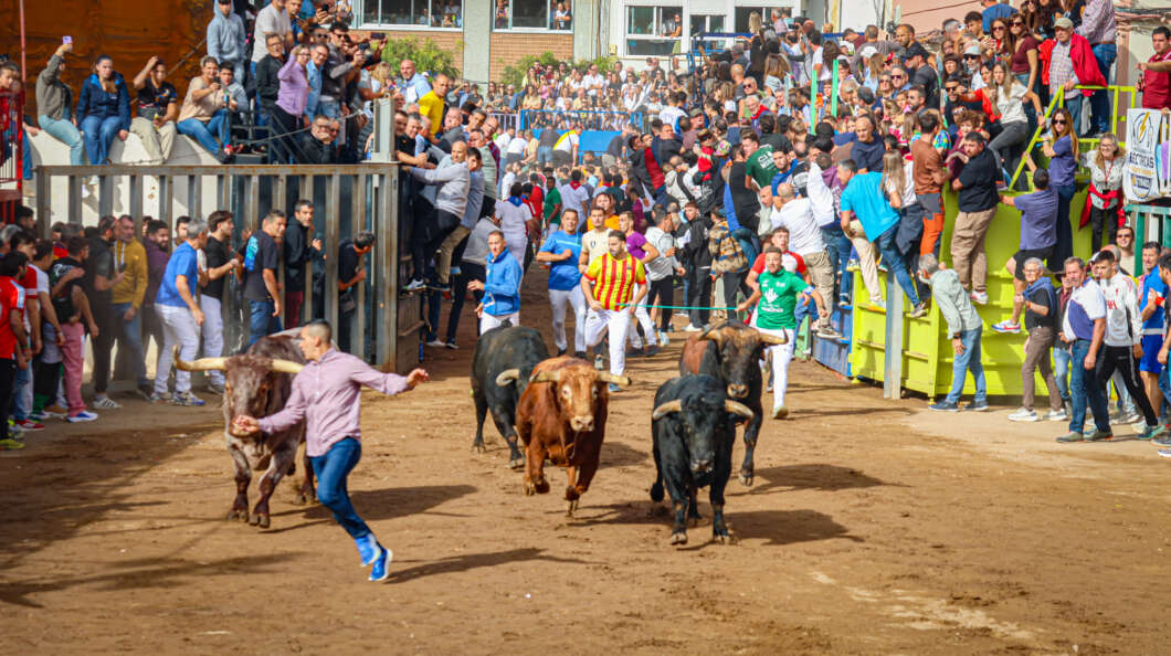 Onda vive un multitudinario sábado de Fira con el encierro de Santiago Domecq