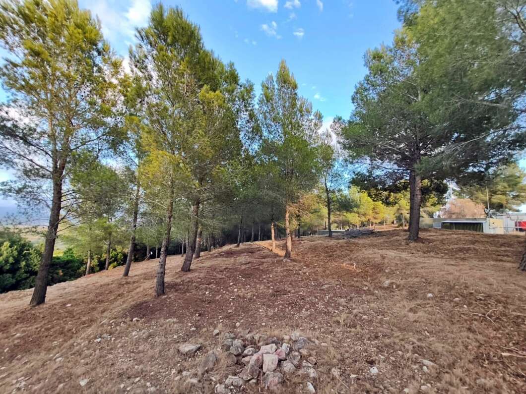 Vinaròs refuerza la prevención de incendios