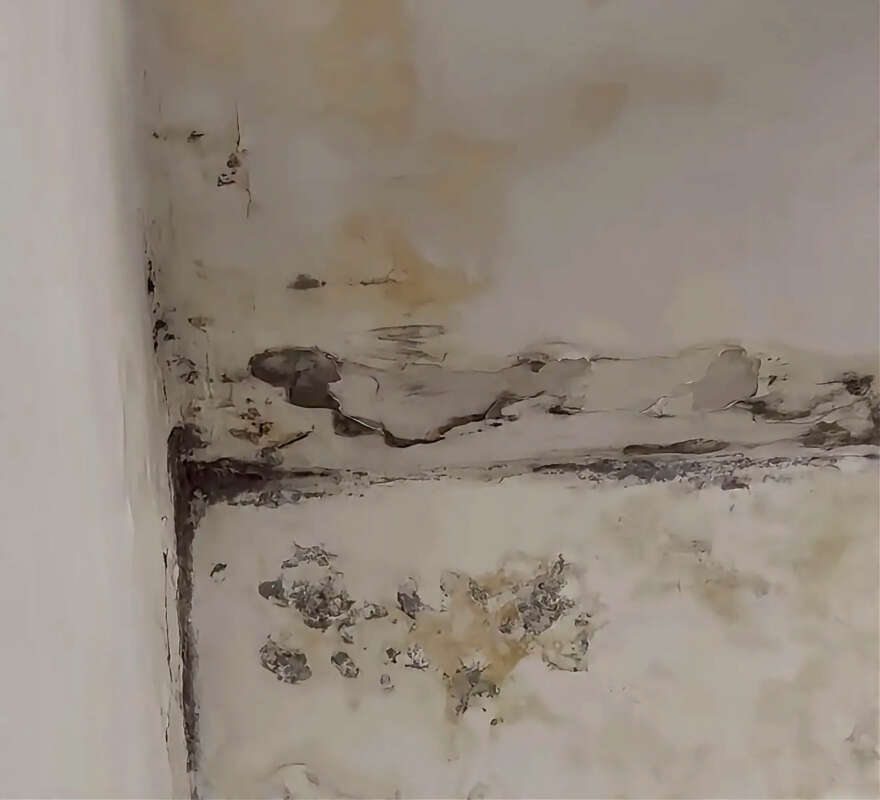 El PSOE denuncia el mal estat dels habitatges municipals de Castelló