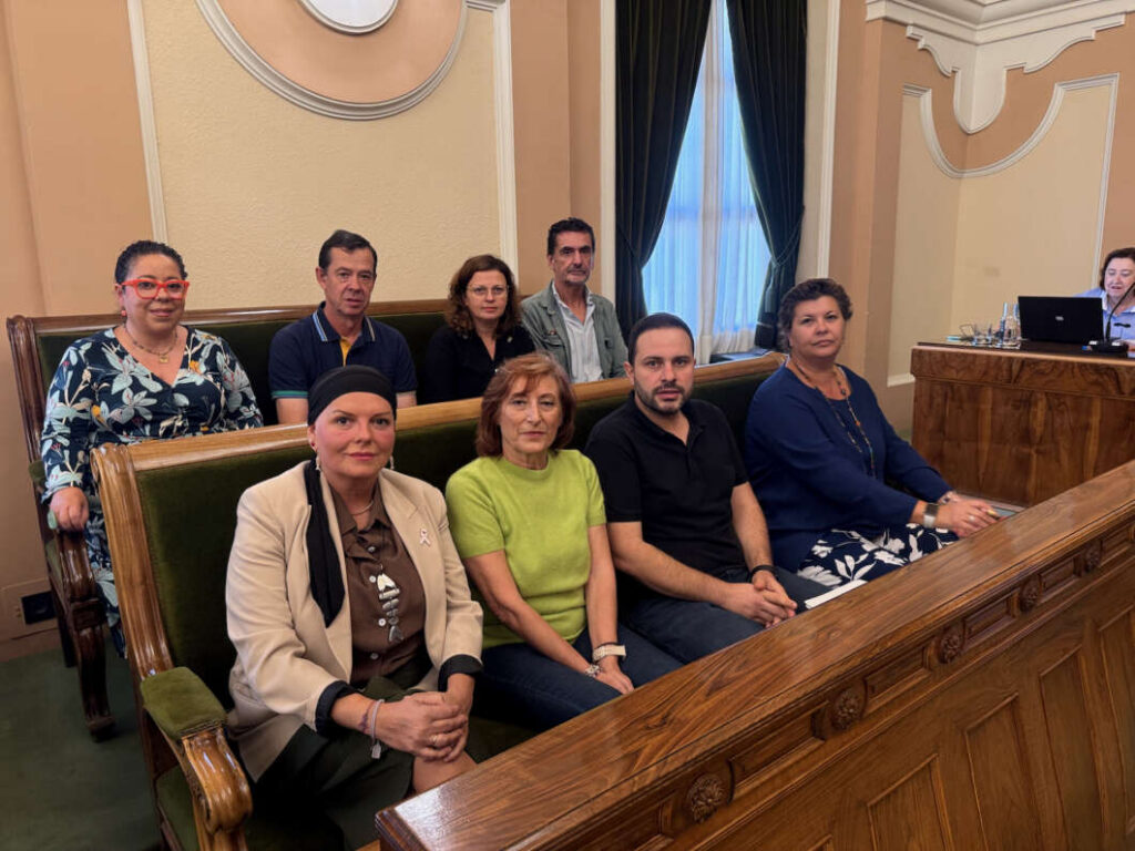 Pleno Castellón 291026